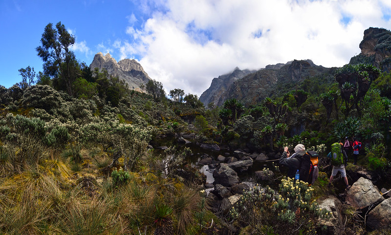 Top facts About Rwenzori mountains national park.