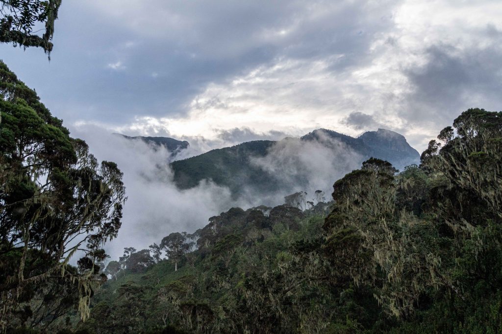 The opening of the Margarita peak