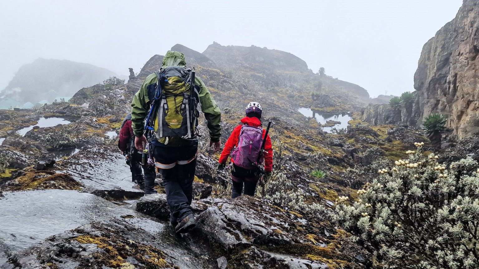 5 days Rwenzori mountain trekking itenary weisman peak