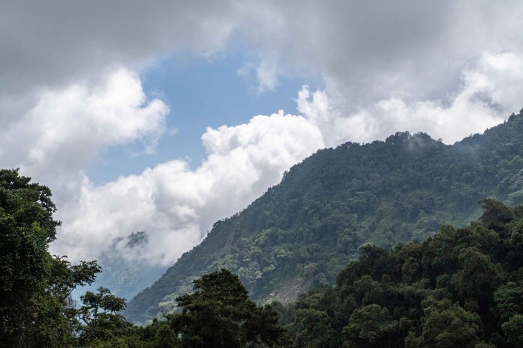 7 days Rwenzori mountains trekking